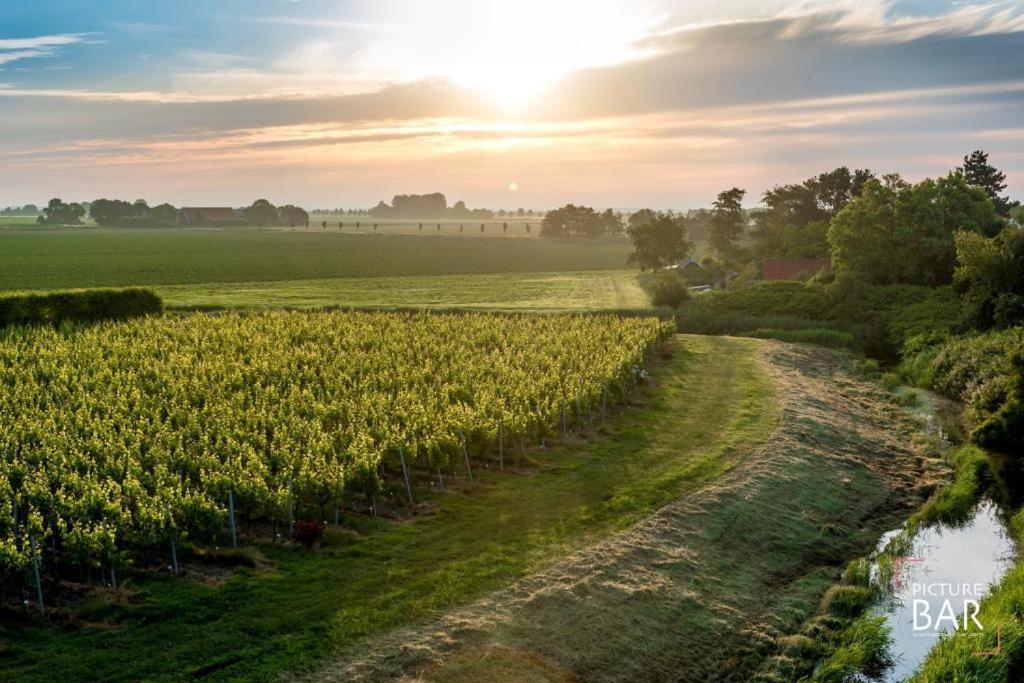 Wine-Barrel Rivaner Dreischor Buitenkant foto