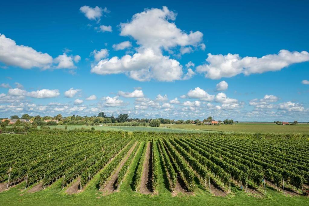 Wine-Barrel Rivaner Dreischor Buitenkant foto