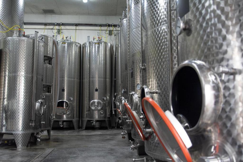 Wine-Barrel Rivaner Dreischor Buitenkant foto